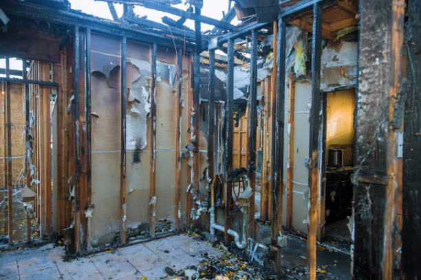 Professional Smoke Damage Restoration technician working in Severn, MD